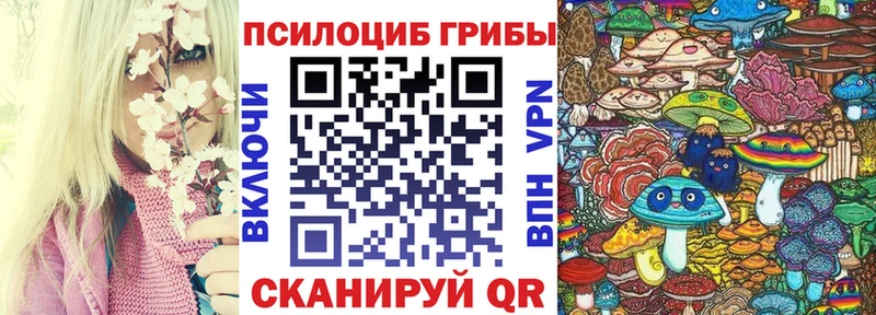 Псилоцибиновые грибы ЛСД  Купить где  Сланцы 
